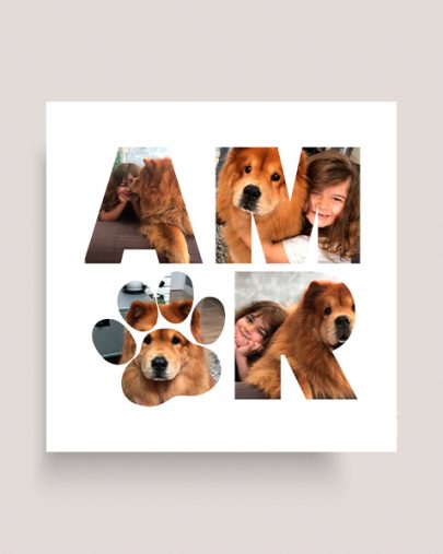 Capa_amorpet Capa_amorpet