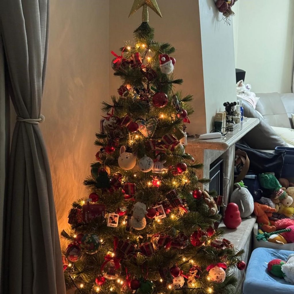 Imagem #3 de CLEIDE SAYURI