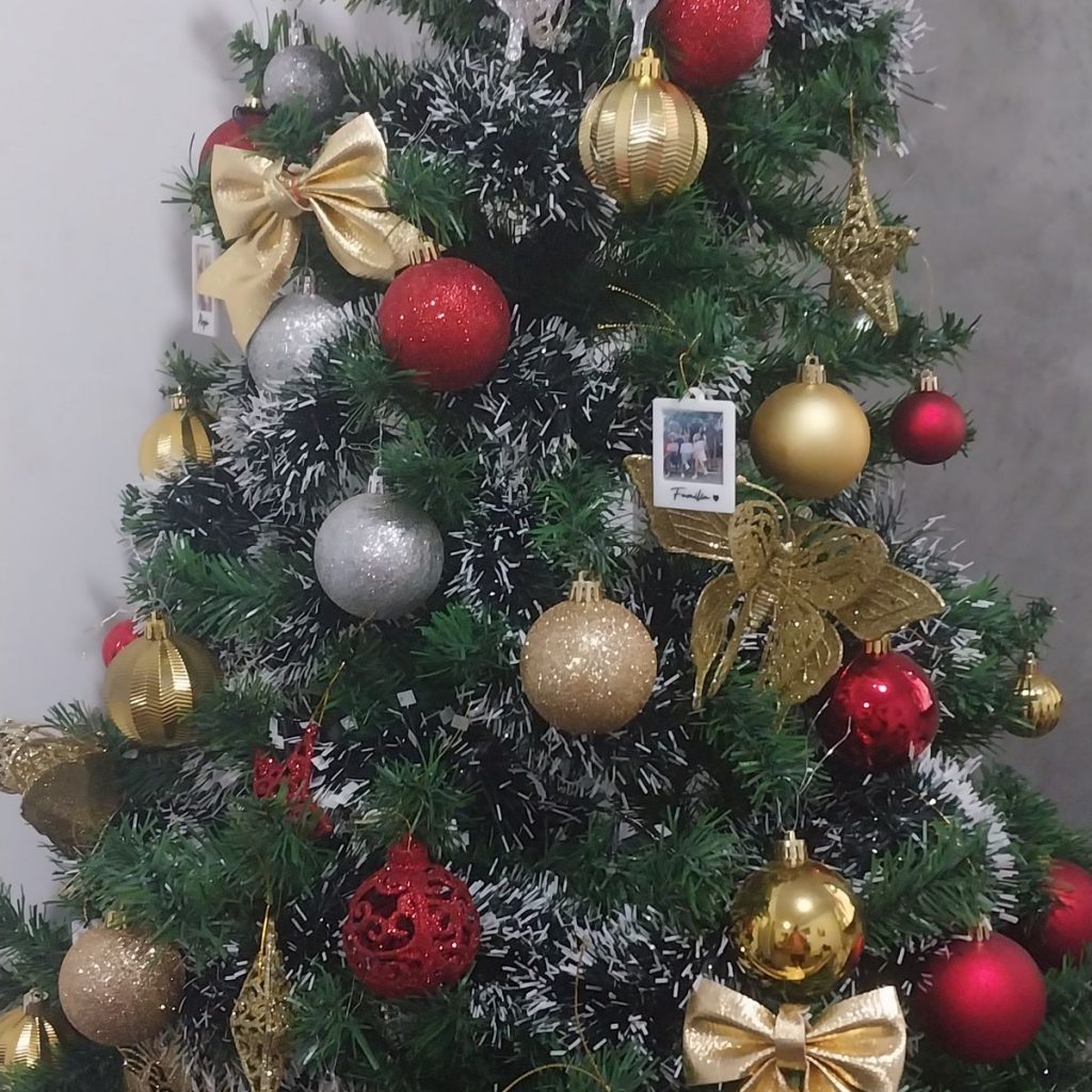 Imagem #1 de FERNANDO GONÇALVES