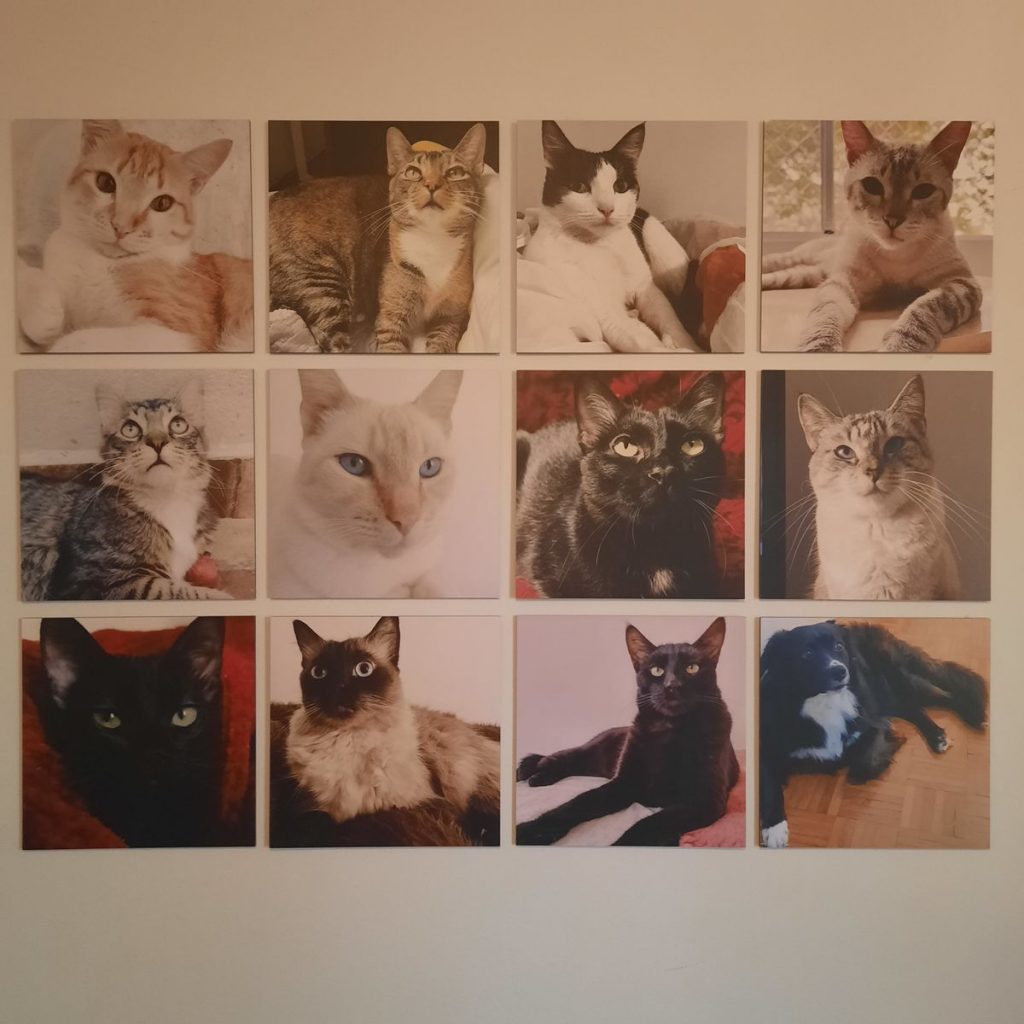 Imagem #1 de Gabriella Bertolazzo